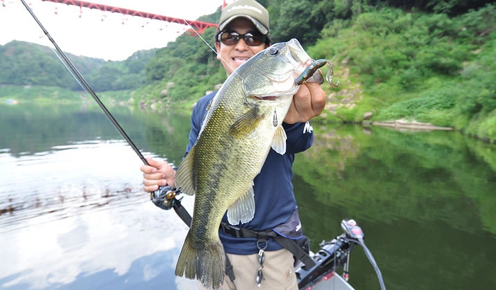 Fish Arrow Free Rig Sinker Tungsten - Image 5