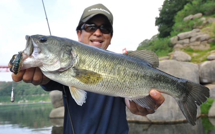 Fish Arrow Free Rig Sinker Tungsten - Image 6