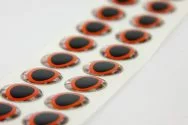 Fly-Dressing Epoxy Eyes 5,1 Mm Oval Dubbel