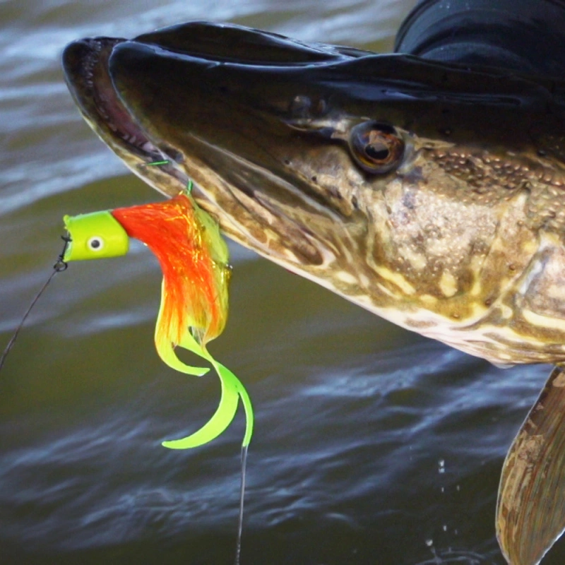 Fly-Dressing Howitzer Popper Heads - Image 3