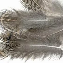 Fly-Dressing Rapphöna - Mixpåse