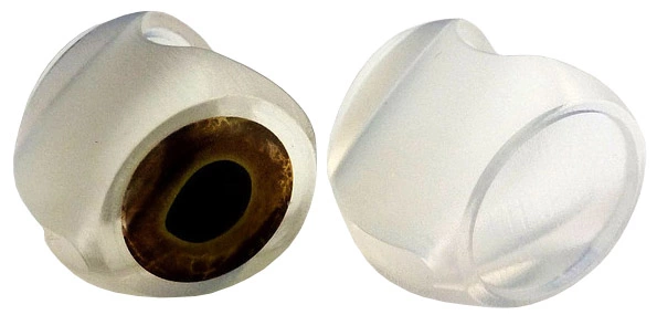 Fly-Dressing Fish-Skull, Fish-Mask